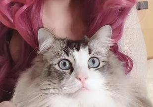 Hana Bunny的资源实力暴击——不知火舞,从未如此不知火!